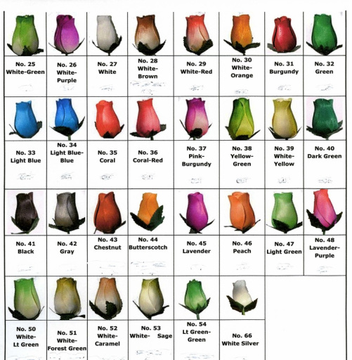 Infant Color Chart And Meaning
